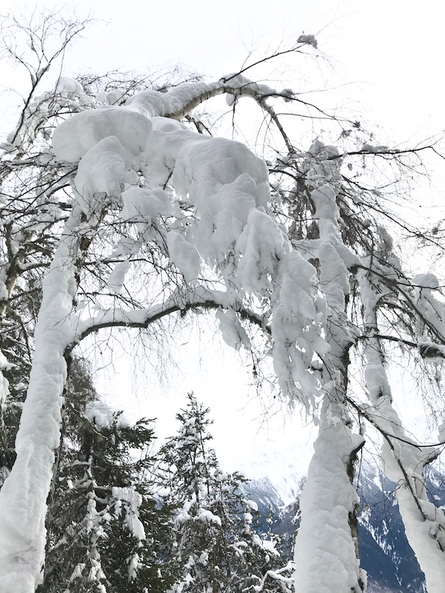 Ho ciaspolato al Gusta e Vai | Blog di Valendario Valtellinese